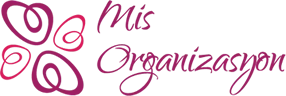 Mis Organizasyon